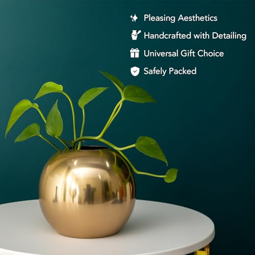 Image of Nostrae by Ekhasa Unbreakable Metallic Ball Flower Vase for Home Decor | Aesthetic Flower Vase Gift for Living Room | Decorative Metal Vase Gift for Wedding, Housewarming