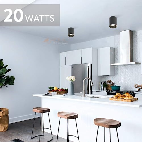Image of JACKAL LED 20 Watts Natural White Round Surface Light Cylindrical Shape Indoor Ceiling Mounted Spot Light Cob Down Light Aluminium Body - Black Reflector