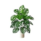 Photo Gallery wenh 70-100 cm di albero artificiale, finte piante di palma, foglie di tartaruga in plastica, piante tropicali da paesaggio for casa, giardino, ufficio, arredamento(100cm 24 leaves) Photo Gallery wenh 70-100 cm di albero artificiale, finte piante di palma, foglie di tartaruga in plastica, piante tropicali da paesaggio for casa, giardino, ufficio, arredamento(100cm 24 leaves)