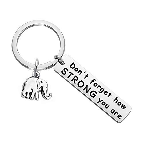 MYOSPARK Elephant Keychain Don't Forget How Strong You Are Inspirational Gift Elephant Lovers Charms for jewellery(Elephant Keychain)