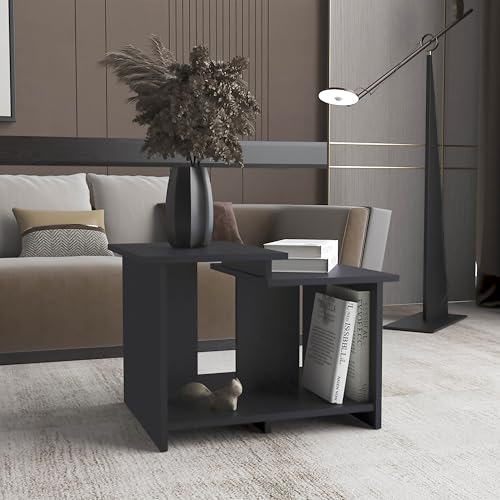 DancingSwan Modern Black Side Table: Two-Tier Open Shelf for Small