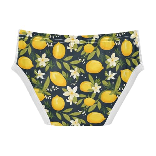 Boys' Exclusive Briefs Toddler Underwear 95% Combed Cotton Boxerbriefs 2T Lemon and Flower Pattern 722