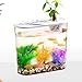 Gralara Tank Aquarium Small Fish Tank Easy to Clean Breeding Tank Fish Bowl Terrarium for Living Room Office Hermit Crabs Snake Frog, White Lid