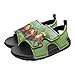 Watdotory Soft Sole Family Hamster Floral Kids' Sandals for Casual Wear Fashioned Walking Shoes Toddler Size 10 for Boys