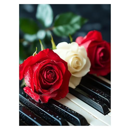 DIY sAm G  hG |Lbg 95x70cm G CeA Lbg rbOTCY TCY q S yCgoCio[  Painting by Numbers KpΏۂĎ Ǐ Εav