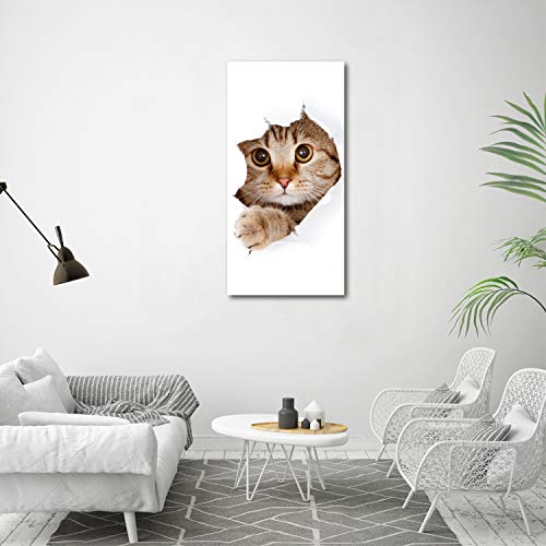 Tableau chat beige Tulup impression sur verre 60x120 cm - 4