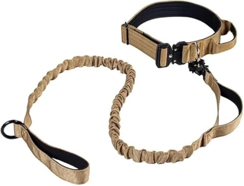 Farigrut[htybgցFLkx҂݃iCfނŒSnǍDA}WbNe[v߂ɂȕ֒EɉpIE@\݌vœUAEghA܂őΉ