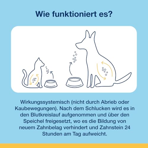 ProDen PlaqueOff Bites, Kauartikel für Zahnpflege Hund 60 g, Hunde Leckerlies zum Zahnbelag entfernen, Für kleine Hunde, Bei Plaque und für frischen Atem, Zahnreinigung Hund, Gemüse