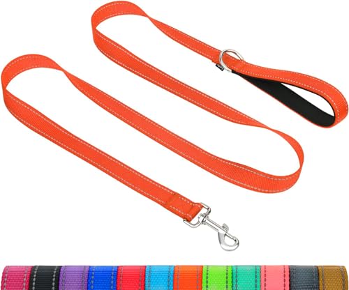 Taglory Hundeleine Kleine Hunde Leicht | Doppelseitig Reflektierend | Gepolsterter Griff | Bis zu 10 kg | 1.8m x 2cm | Orange