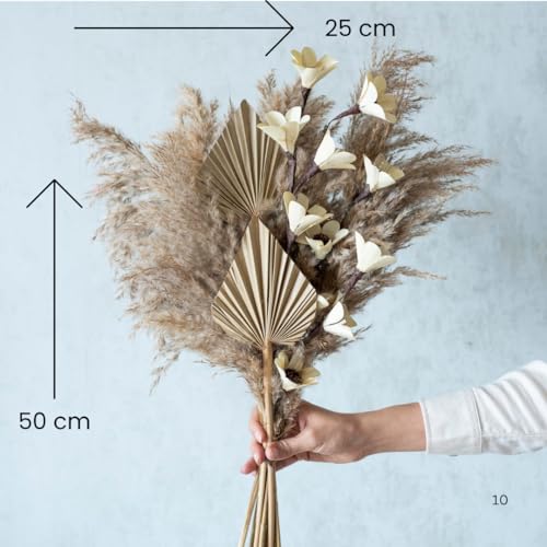 Image of Bohemian Garden Bunch | Pampas Grass, Palm Spear | Eco-Friendly Flowers for Home, Office, Bedroom, Table Decoration and Craft Items Corner (Without Vase)