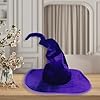 Qianderer Wicked Costumes Adult Crooked Witches Hat Fancy Dress Halloween Accessory,One Size (Purple, One Size) #4