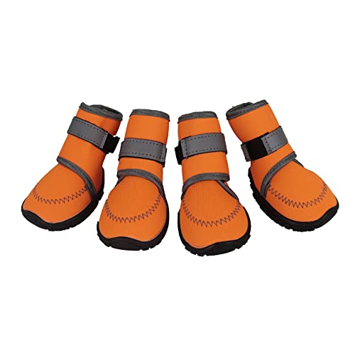 Best dog boots in 2023 [Based on 50 expert reviews] DrawingHope.ca