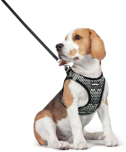 rabbitgoo Hundegeschirr Kleine Hunde mit Leine Step-in, Chevron Schwarz, L | Einfach anzulegen, Atmungsaktiv, Weiches Mesh & Reflektierend, Sicherheitsverschluss mit 1,5m Leine für
