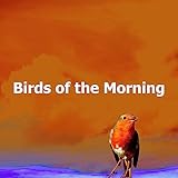  Birds Classic