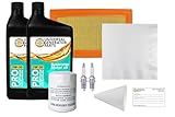 UGP Universal Generator Parts Replacement for Generac 0J93230SSM 20Kw-22Kw SM 999 Maintenance Kit (Synthetic Oil)