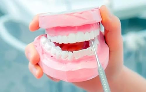 Affordable Dentist: How Preventive Care Reduces Future Expenses