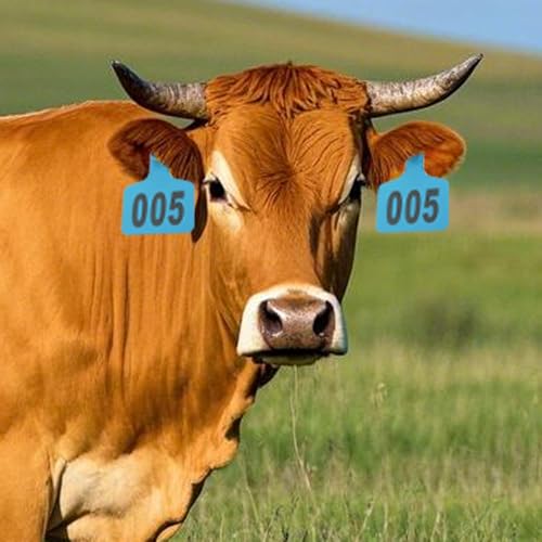 Boucles d oreille moutons avec applicateur robuste et numérotation laser - 3