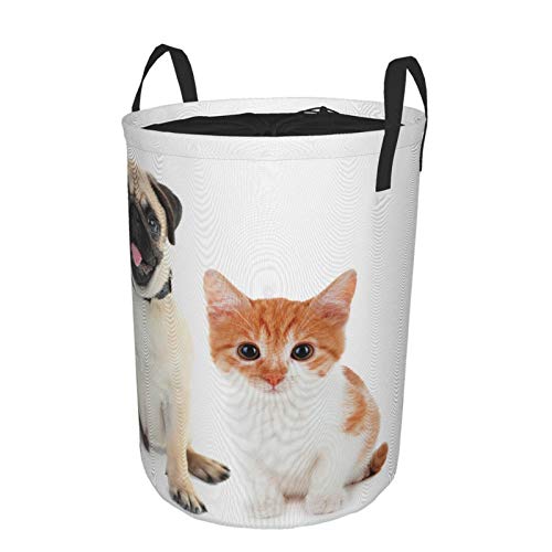 Multifunktionale Faltbarer Schmutzige Kleidung Wäschekorb,Mops Kätzchen und Welpe Fotodruck,Household Wäschebox Spielzeug Organizer