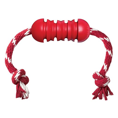 KONG Dental with Rope- for Dog Dental Care - Stuffable Chew Toy - Provides Chewing Outlet & Satisfies Instinctual Needs - Cleans Teeth & Gums - Made with Durable Natural Rubber - for Medium Dogs