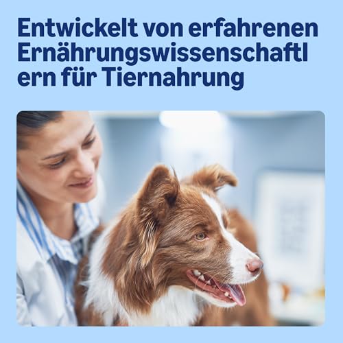 by Amazon Hundefutter, nass, Dose, Stücke mit Rind in Sauce, 6 x 1,24 kg