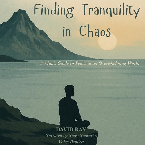 Finding Tranquility in Chaos Audiolibro Por David Ray arte de portada