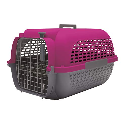 Dogit Pet Voyageur Med Fucsia/Gris, Mediano