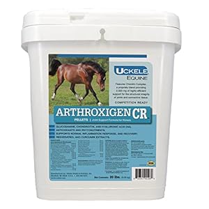Uckele Arthroxigen Pellets – Joint Supplement Formula for Horses – Eqiune Vitamin & Mineral Supplement – Competition Ready – 20 Pound (lb)