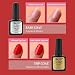 Elite99 Esmaltes Semipermanentes de Uñas en Gel UV LED, 10 Colores con...