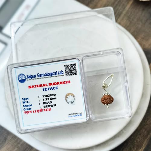 The Himalayan River 12 Mukhi Original Certified 12 Face Rudraksha...