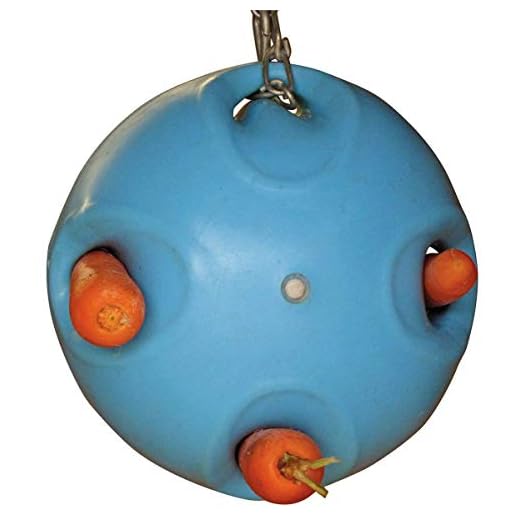 Shires Equine Horse Carrot Ball Feeder Play Toy Fun Entertainment