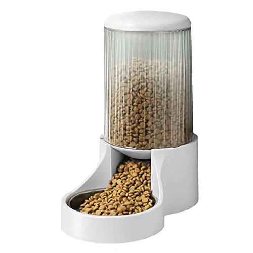Top 10 Best Gravity Cat Feeder Spicer Castle