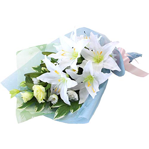 Rv  l̂ JTuJ  gRLLE ̑傫߂ ԑ 1007-668 CTG}H VNt[  ފ ~ bar