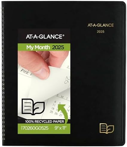 AT-A-GLANCE 2025 Planner, Monthly, 9" X 11", Large, Contemporary - View #2