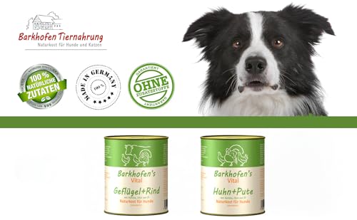 Barkhofen Tiernahrung Nassfutter für Ihren Hund 6X 800g – Hundefutter nass & getreidefrei mit Geflügel & Rind – Hunde Futter in Dosen ohne Getreide