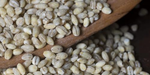 Image of Nourcery Pearl Barley-1kg | Pearled Whole Barlay | High Fiber Jau | Low Glycemic Index | Raw Barley Grain | Healthy by nature | Cooks Like Rice | Ideal for Risottos & Soups | Naturally Gluten Free