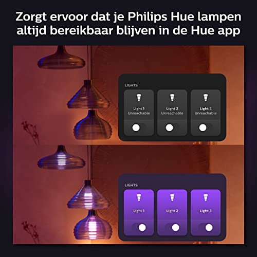 Philips Hue Wall Switch Module - Wandschakelaarmodule - Werkt met alle Hue Lampen - 2-Pack