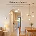 SURAIELEC Funk Lichtschalter Set, 2 Wandschalter mit Fernbedienung, 10A