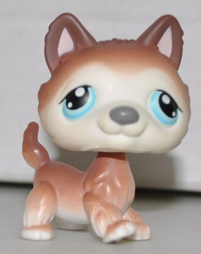 lps husky amazon