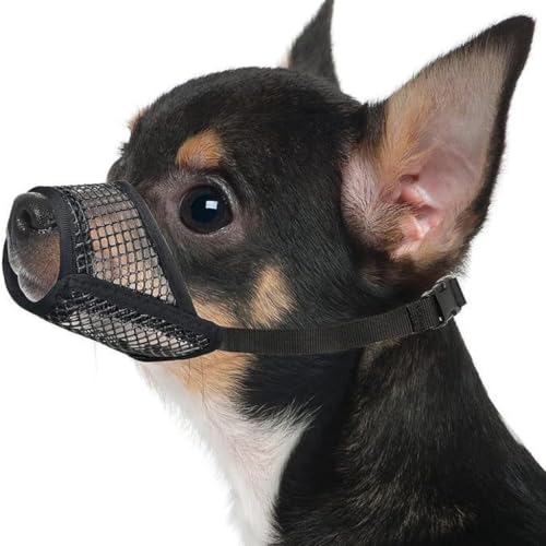 Museliere pour Chiens Petit Chien Musoliaire Chien Respirante Réglable Muselière Anti Aboiement Intoxication Muselières pour Chiens Confortable Musoliere Chien Noir XS 1pcs