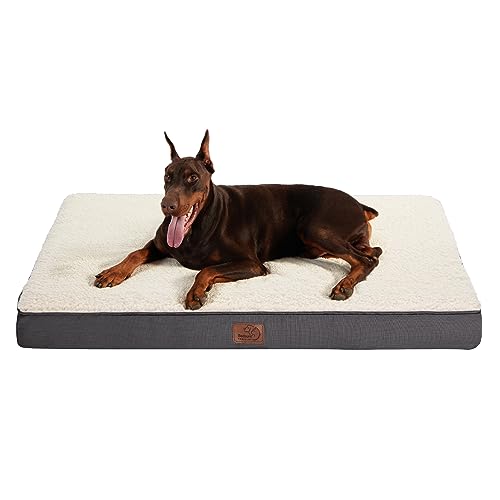 Sleep like a Giant Top 10 Dog Beds for Your Big Best Friend Furry Folly