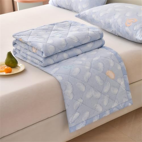 Highdi Colcha de Verano Impresión Sencilla Elegante, Colcha para Verano Reversible Ligera y Suave Microfibra Cubre Cama Fina, Colchas Cama Individuales Dobles Modernas (Plumas,200x230cm)