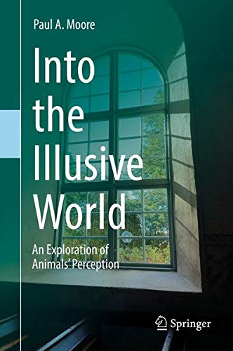 Buy Into the Illusive World — BookShops.in