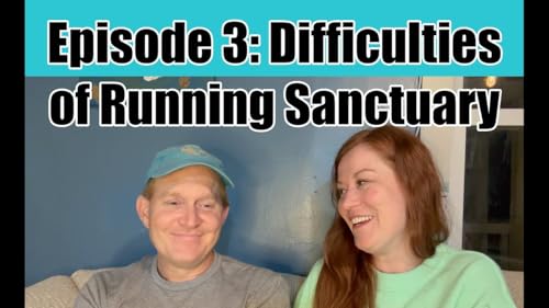 Life With Pigs Podcast: Episode 3 - Difficulties Running a Sanctuary
