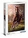Clementoni Collection Puzzle-The Horse-1500 Pezzi, Multicolore, 31811