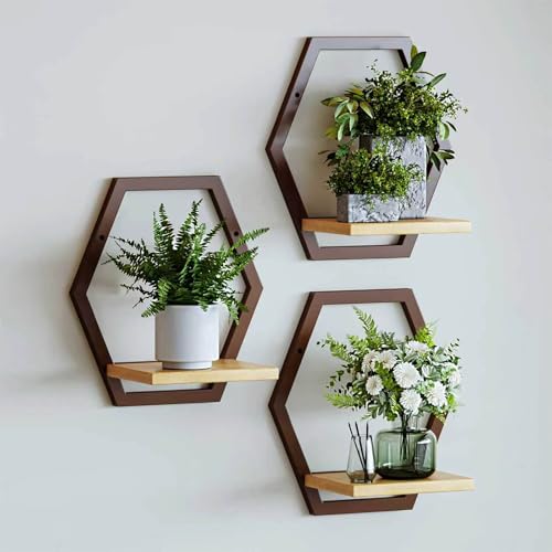 Rioneta 3 Pack Solid Wood & Metal Framework Wall Plant Stands 9 inch Natural Wood Shelf of Indoor Mid Century Modern Hanging Planter for Outdoor Entryway 25 LB Load for Plants Coffee