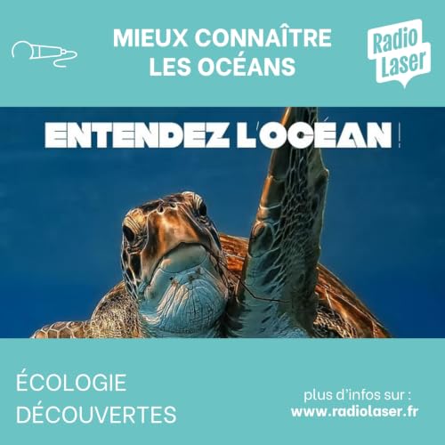 L'Oc&eacute;an et ses myst&egrave;res