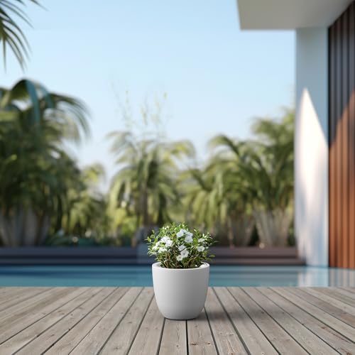 Image of Kante Small Round Bowl White Concrete Planter 10 inch Dia, Outdoor
