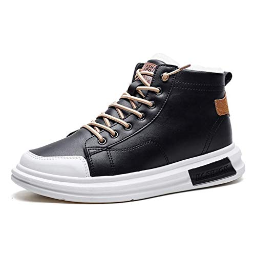 [LECMT] nCJbg h N 26.0cm Xm[u[c C jp y ϖ Ռz hu[c AEghA nCLOu[c ZC y h ubNiNсj h̖ȌC ~p C N ʋ ʊwp hp hu[c h