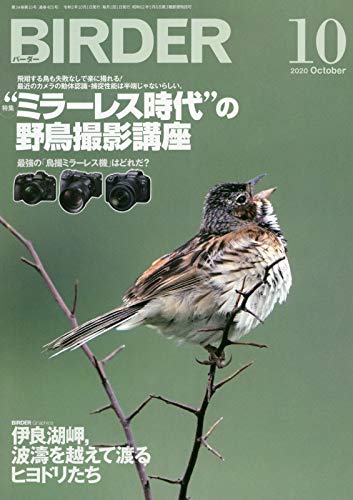 キンドル 無料電子書籍 BIRDER(バーダー)2020年10月号 “ミラーレス時代