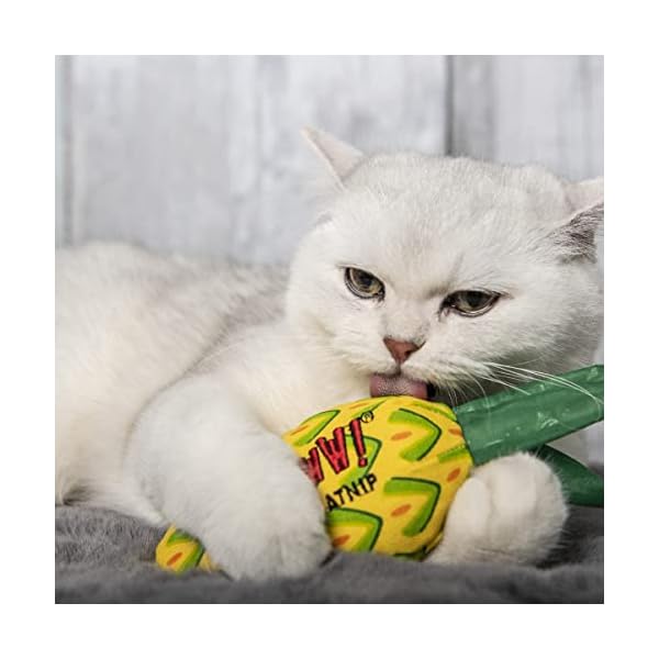 YEOWWW! Ananas Katzenminze Spielzeug für Katzen, Gelb, 17,8 cm, für alle Rassengrößen – Bild 5